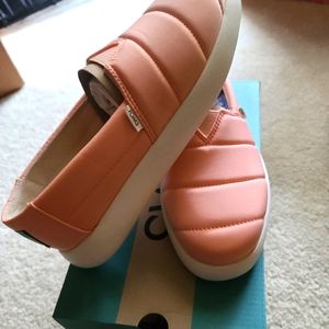 NWT Tom's size 7.5